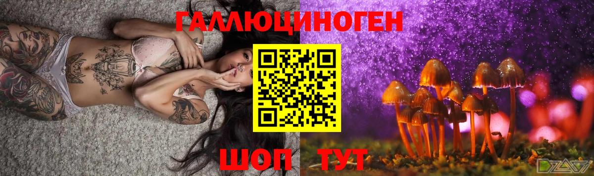 Электрогорск  где купить наркоту  Вход с VPN  Псилоцибиновые грибы мицелий  Псилоцибиновые грибы MAGIC MUSHROOMS 